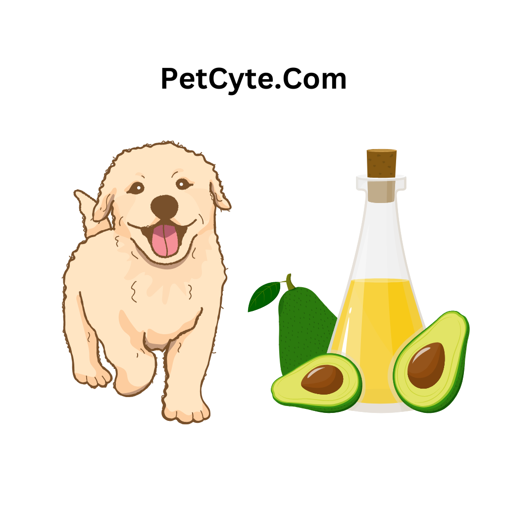 Avocado & Dogs: Is Avocado Oil Safe for Dogs?